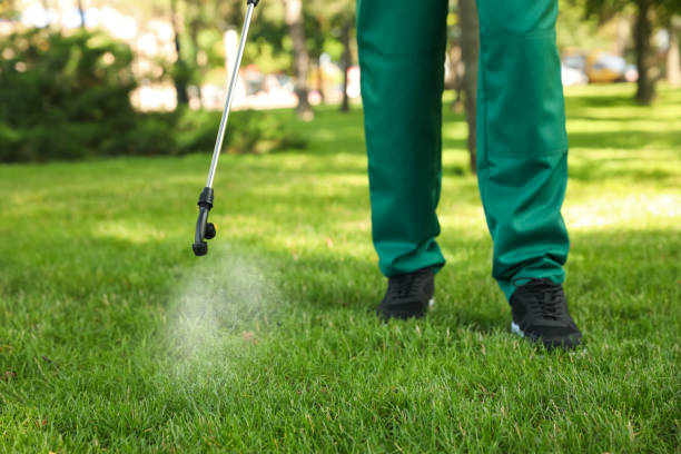 Best Pest Prevention Services  in Calumet City, IL