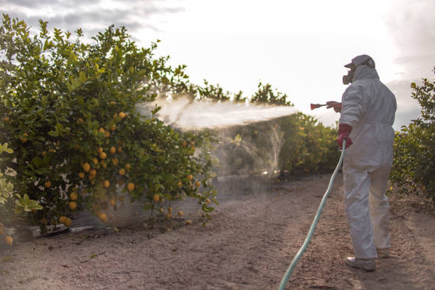 Wildlife Control Services in Calumet City, IL